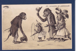 CPA Singe Monkey Singes Position Humaine Humanisé Gaufré Embossed Circulé - Monkeys