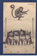 CPA Singe Monkey Singes Position Humaine Humanisé Gaufré Embossed Non Circulé Chat Cat - Monos