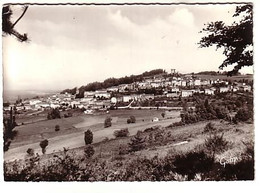 Allègre - Vue Générale - Gaby N°1 - Circulé - Autres & Non Classés