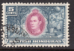 British Honduras 1938-47 5c Grapefruit, Used, SG 154 (WI2) - British Honduras (...-1970)