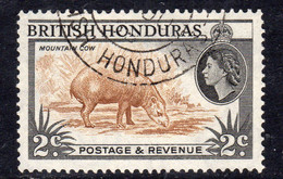 British Honduras 1953-62 Definitives 2c Value, Perf. 14, Used, SG 180a (WI2) - British Honduras (...-1970)