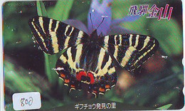 Télécarte Japon * PAPILLON * BUTTERFLY * VLINDER * SCHMETTERLING * ANIMAL (800) PHONECARD JAPAN * TELEFONKARTE - Vlinders