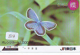 Télécarte Japon * PAPILLON * BUTTERFLY * VLINDER * SCHMETTERLING * ANIMAL (827) PHONECARD JAPAN * TELEFONKARTE - Vlinders