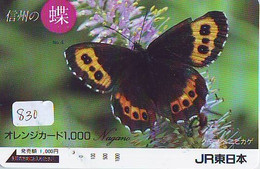 Télécarte Japon * PAPILLON * BUTTERFLY * VLINDER * SCHMETTERLING * ANIMAL (830) PHONECARD JAPAN * TELEFONKARTE - Butterflies