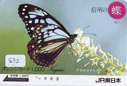 Télécarte Japon * PAPILLON * BUTTERFLY * VLINDER * SCHMETTERLING * ANIMAL (832) PHONECARD JAPAN * TELEFONKARTE - Schmetterlinge