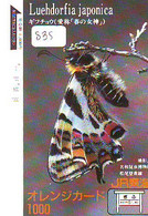 Télécarte Japon * PAPILLON * BUTTERFLY * VLINDER * SCHMETTERLING * ANIMAL (835) PHONECARD JAPAN * TELEFONKARTE - Schmetterlinge