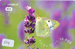 Télécarte Japon * PAPILLON * BUTTERFLY * VLINDER * SCHMETTERLING * ANIMAL (837) PHONECARD JAPAN * TELEFONKARTE - Farfalle