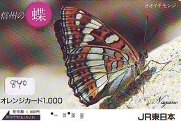 Télécarte Japon * PAPILLON * BUTTERFLY * VLINDER * SCHMETTERLING * ANIMAL (840) PHONECARD JAPAN * TELEFONKARTE - Schmetterlinge