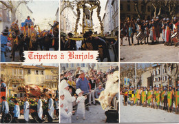 VAR 83 BARJOLS MULTI VUES DE LA FÊTE DES TRIPETTES - Barjols