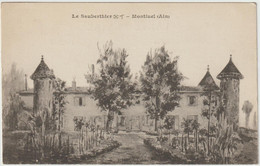 Montluel-Le Sauberthier-  ( E.4467) - Montluel