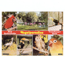 4502 BAD ROTHENFELDE, Vogelparadies, Famingos, Cardinal, Eule, Tukan, Papagei... - Bad Rothenfelde