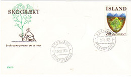 Iceland Island 1975 Forestry, Tree In Front Of The Landscape  MI 512 FDC - Storia Postale