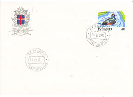 Iceland Island 1977 European Freshwater Protection Year. Bird: Collar Duck (Histrionicus Histrionicus) MI 524 FDC - Storia Postale