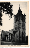 Saintes - Eglise Ste-Renelde - Tubize