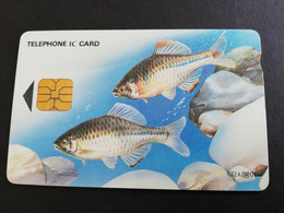 KOREA SOUTH  W 3000 MINT CHIPCARD FISHES     NICE  CARD    **5272** - Corée Du Sud