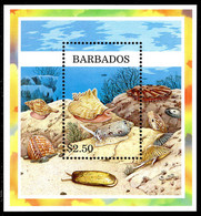 Barbados 1997 Shells Souvenir Sheet Unmounted Mint. - Barbados (1966-...)