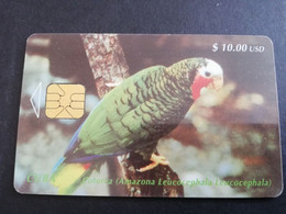 CUBA $10,00 CHIPCARD   COTORRA PARROT /BIRD   Fine Used Card  ** 5299** - Cuba