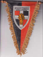 Fanion 46ème Régiment D'Infanterie ( R.I. ) Avec Devise - Berlin Au Verso - Bandiere
