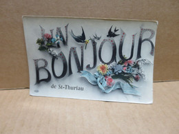 SAINT THURIAU (56) Carte Fantaisie Un Bonjour De - Andere & Zonder Classificatie