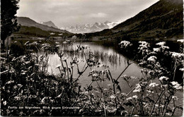 Partie Am Aegerisee - Blick Gegen Urirotstock * 26. 7. 1958 - Sonstige & Ohne Zuordnung