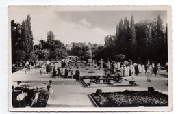 Maroc --FES -- Jardins Andalous De Bou-Jéloud..(très Animée)........timbre ....cachet  .....à  Saisir - Fez