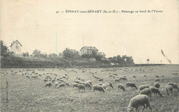 CPA FRANCE 91 "Epinay Sous Sénart, Pâturage Au Bord De L'Yerres" - Epinay Sous Senart