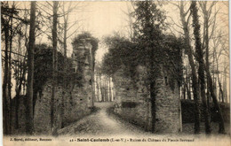 CPA AK St-COULOMB - Ruines Du Chateau Du Plessis-Bertrand (584485) - Saint-Coulomb