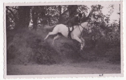 8810 - Carte Photo Sans Titre - Concour Hippique , Cross ( Franchissement D'une Butte ) - Elbé Photo à Bézier - - Horse Show