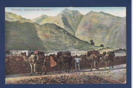 CPA CANARIES Islas Canarias > Tenerife Espagne Spain écrite - Tenerife