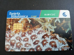 CUBA $10,00 CHIPCARD   CORALES MARINOS    Fine Used Card  ** 5344** - Kuba