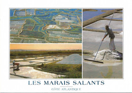 Regions Pays De Loire ( Cote Atlantique - Les Marais Salants ( The Salt Marshes ) Die Salzgarten - Pays De La Loire