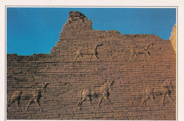 A4471- Porte D'Ishtar, The Gates Babylon - Iraq