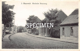 Mechelse Steenweg @  Blaasveld - Willebroek