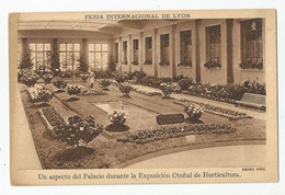 69 Lyon Feria Internacional ( Foire )un Aspecto Del Palacio Durante La Expocision Otonal De Horticultura Horticulture - Autres & Non Classés