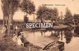 Pêcherie Royal Watermael @  Boitsfort - Watermael-Boitsfort - Watermaal-Bosvoorde