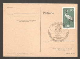 Delcampe - DDR 1975 Halle-Neustadt - Chess Cancel On Postcard - Schach