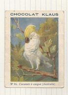 Chromo Chocolat Klaus N14 Cacatoes A Casque Australie Oiseau 6,8x9 Cm - Autres & Non Classés