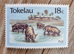 TOKELAU Cochons, Cochon , Porcs, Porc Sangliers, 1 Valeur émise En 1999 (MNH **) - Granjas