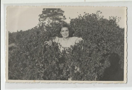 Carte Photo Femme Sortant D 'un Buisson A Bel Abbés Algérie - Photographs