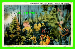 OCALA, FL - THE SUNKEN FOREST, ONE OF THE WONDERS SEEN THROUGH GLASS BOTTOM BOATS - H. R. BEZANT - - Ocala