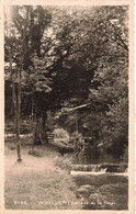 WEILLEN - Cascade De La Forge - Photo Carte Qui A Circulé - Onhaye