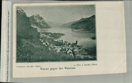 Suisse  Weesen  Gegen Den  Wallensee  (1900) (AVRI 2021 275) - Weesen
