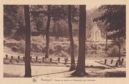 Rossignol - Champ De Bataile Et Monument Aux Coloniaux - Tintigny - Pas Circulé - Nels - TBE - Tintigny