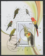 2011 -  Perroquet  Mi No Block 495 - Used Stamps