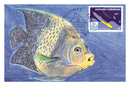 Thème Poissons - Nouvelle Calédonie - Carte Maximum - TB - Fische