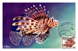 Thème Poissons - Monaco - Carte Maximum - TB - Fishes