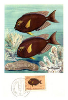 Thème Poissons - Mozambique - Carte Maximum - TB - Fishes