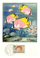 Thème Poissons - Mozambique - Carte Maximum - TB - Vissen