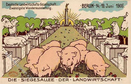 LANDWIRTSCHAFT - BERLIN - DEUTSCHE LANDWIRTSCHAFTLICHE AUSSTELLUNG 1906 I - Tentoonstellingen