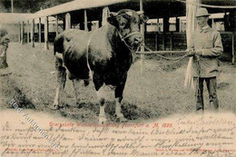 Landwirtschaft - FRANKFURT/Main - 13. LANDWIRTSCHAFTLICHE WANDERAUSSTELLUNG 1899 I Paysans - Tentoonstellingen